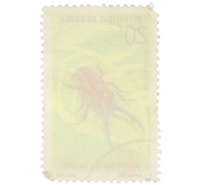 Почтовая марка 20 франков 1970 года Республика Конго «Растения и жуки — Африканский красный жук-олень» (Артикул: K12-82071) — Фото №2