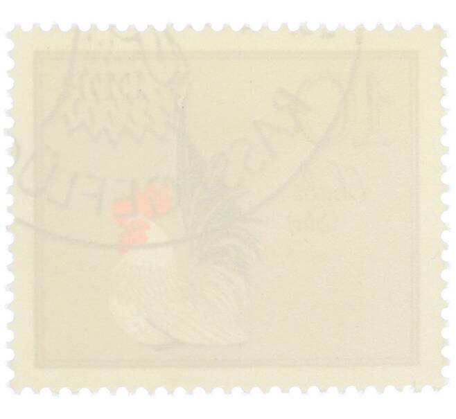 Почтовая марка 10 пфеннигов 1979 года Восточная Германия (ГДР) «Породы домашней птицы - Куры Чабо» (Артикул: K12-82073) — Фото №2