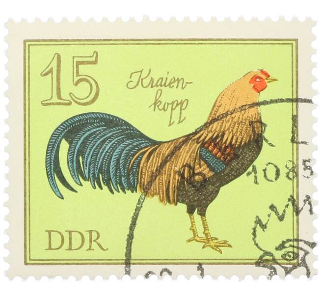 Почтовая марка 15 пфеннигов 1979 года Восточная Германия (ГДР) «Породы домашней птицы - Куры Крайенкопп» (Артикул: K12-82074) — Фото №1