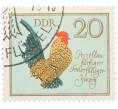 Почтовая марка 20 пфеннигов 1979 года Восточная Германия (ГДР) «Породы домашней птицы - Фарфоровый карликовый кохинхин» (Артикул: K12-82075) — Фото №1