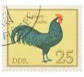 Почтовая марка 25 пфеннигов 1979 года Восточная Германия (ГДР) «Породы домашней птицы - Саксонские куры» (Артикул: K12-82076) — Фото №1