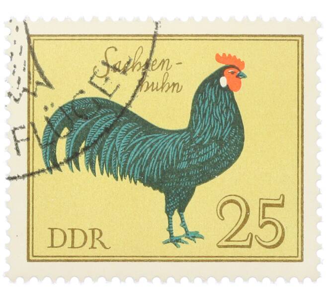 Почтовая марка 25 пфеннигов 1979 года Восточная Германия (ГДР) «Породы домашней птицы - Саксонские куры» (Артикул: K12-82076) — Фото №1