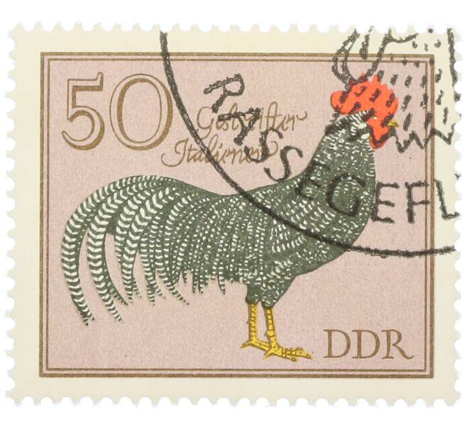 Почтовая марка 50 пфеннигов 1979 года Восточная Германия (ГДР) «Породы домашней птицы - Полосатый итальянец» (Артикул: K12-82078) — Фото №1