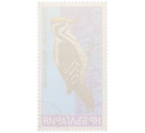 Почтовая марка 3 стотинки 1978 года Болгария «Семейство дятловых — Трехпалый дятел» — Фото №2