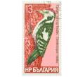 Почтовая марка 13 стотинок 1978 года Болгария «Семейство дятловых — Средний пестрый дятел» (Артикул: K12-82082) — Фото №1