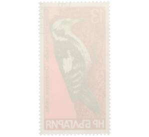 Почтовая марка 13 стотинок 1978 года Болгария «Семейство дятловых — Средний пестрый дятел» — Фото №2