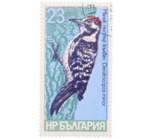 Почтовая марка 23 стотинки 1978 года Болгария «Семейство дятловых — Малый пестрый дятел» — Фото №1