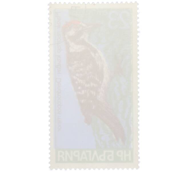 Почтовая марка 23 стотинки 1978 года Болгария «Семейство дятловых — Малый пестрый дятел» (Артикул: K12-82083) — Фото №2