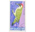 Почтовая марка 43 стотинки 1978 года Болгария «Семейство дятловых — Зеленый дятел» (Артикул: K12-82084) — Фото №1