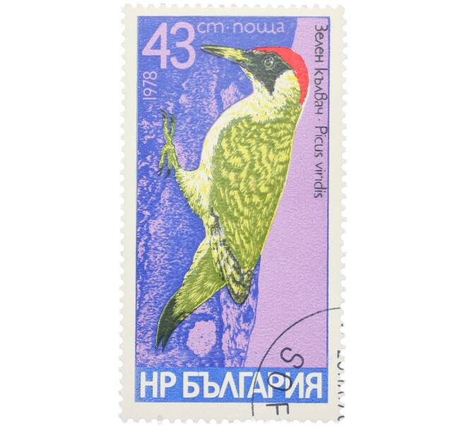 Почтовая марка 43 стотинки 1978 года Болгария «Семейство дятловых — Зеленый дятел» (Артикул: K12-82084) — Фото №1