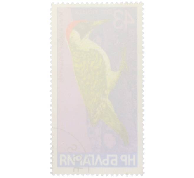 Почтовая марка 43 стотинки 1978 года Болгария «Семейство дятловых — Зеленый дятел» (Артикул: K12-82084) — Фото №2