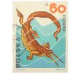 Почтовая марка 60 грошей 1965 года Польша «Доисторические животные - Мезозавр» (Артикул: K12-82085) — Фото №1