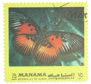 Почтовая марка 75 дирхам 1972 года Манама «Бабочки восточного полушария — Pseudacraea dolomena» — Фото №1