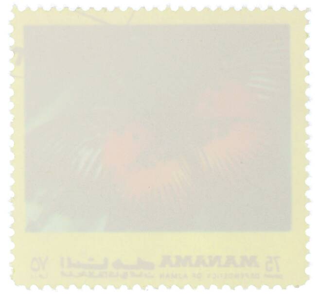 Почтовая марка 75 дирхам 1972 года Манама «Бабочки восточного полушария — Pseudacraea dolomena» (Артикул: K12-82213) — Фото №2