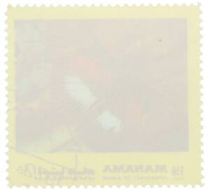 Почтовая марка 1.50 риала 1972 года Манама «Бабочки восточного полушария — Pseudacraea dolomena» — Фото №2