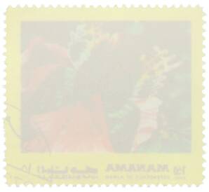 Почтовая марка 1.50 риала 1972 года Манама «Бабочки восточного полушария — Изменчивая ложная акрея» — Фото №2