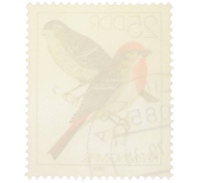 Почтовая марка 25 пфеннигов 1979 года Восточная Германия (ГДР) «Певчие птицы - Обыкновенная чечевица» (Артикул: K12-82232) — Фото №2