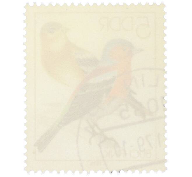 Почтовая марка 5 пфеннигов 1979 года Восточная Германия (ГДР) «Певчие птицы - Зяблик» (Артикул: K12-82233) — Фото №2