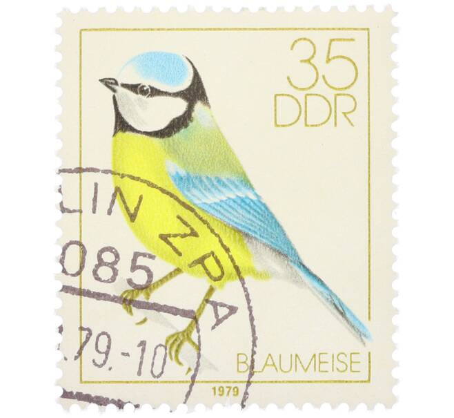 Почтовая марка 35 пфеннигов 1979 года Восточная Германия (ГДР) «Певчие птицы - Обыкновенная лазоревка» (Артикул: K12-82234) — Фото №1
