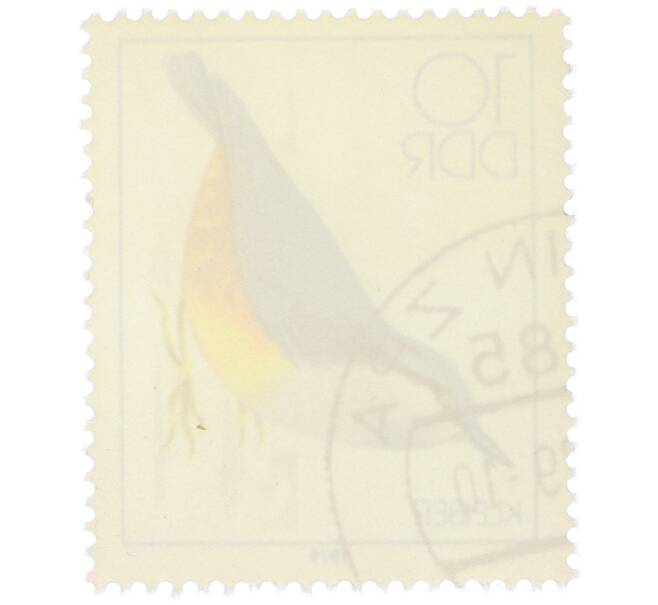 Почтовая марка 10 пфеннигов 1979 года Восточная Германия (ГДР) «Певчие птицы - Обыкновенный поползень» (Артикул: K12-82235) — Фото №2