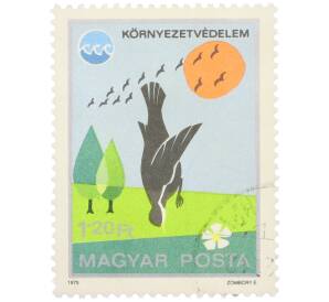 Почтовая марка 1.20 форинта 1975 года Венгрия «Защита окружающей среды - Скворец обыкновенный» — Фото №1