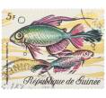 Почтовая марка 5 франков 1971 года Гвинея «Морская фауна - Радужная рыба» (Артикул: K12-82251) — Фото №1