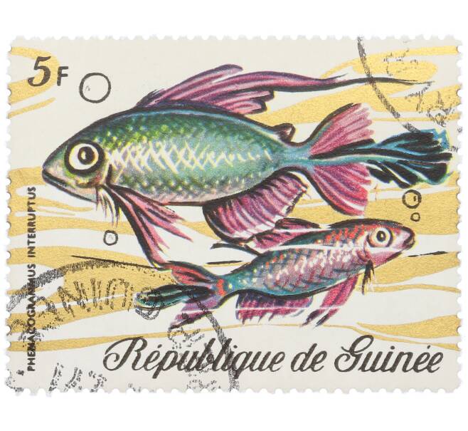 Почтовая марка 5 франков 1971 года Гвинея «Морская фауна - Радужная рыба» (Артикул: K12-82251) — Фото №1