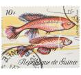 Почтовая марка 10 франков 1971 года Гвинея «Фауна - Афиосемион Зьештедта» (Артикул: K12-82252) — Фото №1