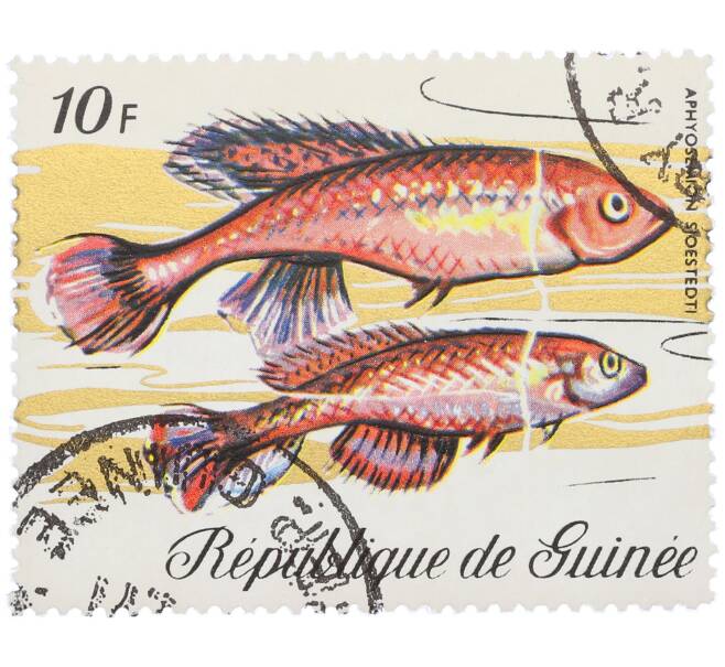 Почтовая марка 10 франков 1971 года Гвинея «Фауна - Афиосемион Зьештедта» (Артикул: K12-82252) — Фото №1