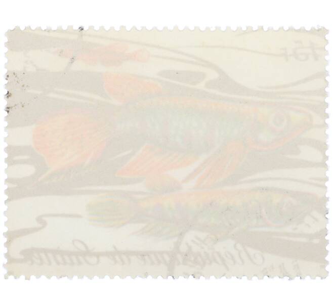 Почтовая марка 15 франков 1971 года Гвинея «Фауна - Эпиплатис шапери» (Артикул: K12-82253) — Фото №2