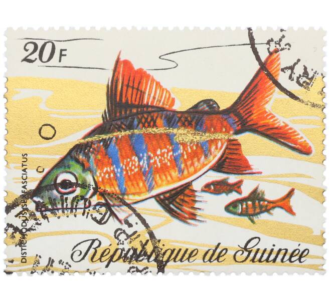 Почтовая марка 20 франков 1971 года Гвинея «Фауна - Дистиходус шестиполосый» (Артикул: K12-82254) — Фото №1