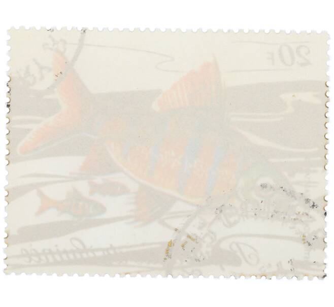 Почтовая марка 20 франков 1971 года Гвинея «Фауна - Дистиходус шестиполосый» (Артикул: K12-82254) — Фото №2