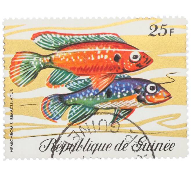 Почтовая марка 25 франков 1971 года Гвинея «Фауна - Хромис-красавец» (Артикул: K12-82255) — Фото №1