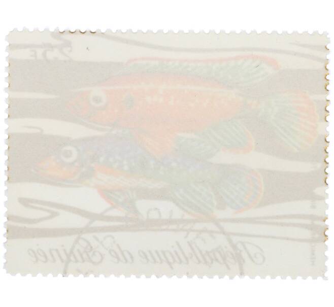 Почтовая марка 25 франков 1971 года Гвинея «Фауна - Хромис-красавец» (Артикул: K12-82255) — Фото №2