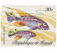 Почтовая марка 30 франков 1971 года Гвинея «Фауна - Пельвикахромис» (Артикул: K12-82256) — Фото №1