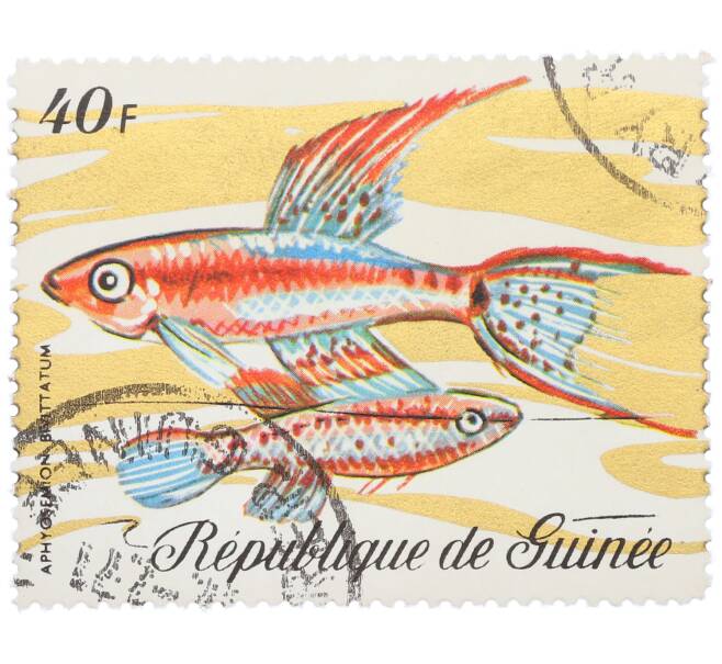 Почтовая марка 40 франков 1971 года Гвинея «Фауна - Афиосемион двухполосый» (Артикул: K12-82257) — Фото №1