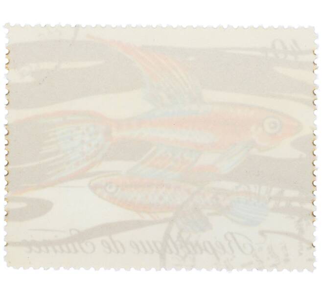 Почтовая марка 40 франков 1971 года Гвинея «Фауна - Афиосемион двухполосый» (Артикул: K12-82257) — Фото №2