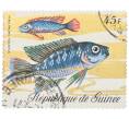 Почтовая марка 45 франков 1971 года Гвинея «Фауна - Хемихромис полосатый» (Артикул: K12-82258) — Фото №1
