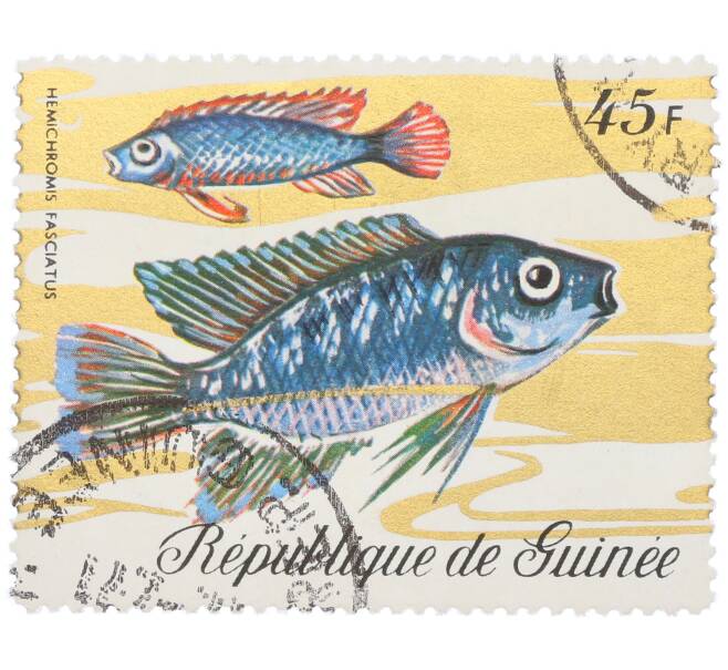 Почтовая марка 45 франков 1971 года Гвинея «Фауна - Хемихромис полосатый» (Артикул: K12-82258) — Фото №1