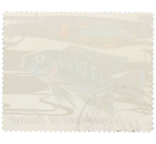 Почтовая марка 45 франков 1971 года Гвинея «Фауна - Хемихромис полосатый» (Артикул: K12-82258) — Фото №2