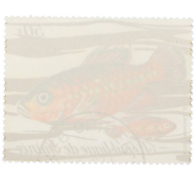 Почтовая марка 50 франков 1971 года Гвинея «Фауна - Нотобранхиус Гюнтера» (Артикул: K12-82259) — Фото №2