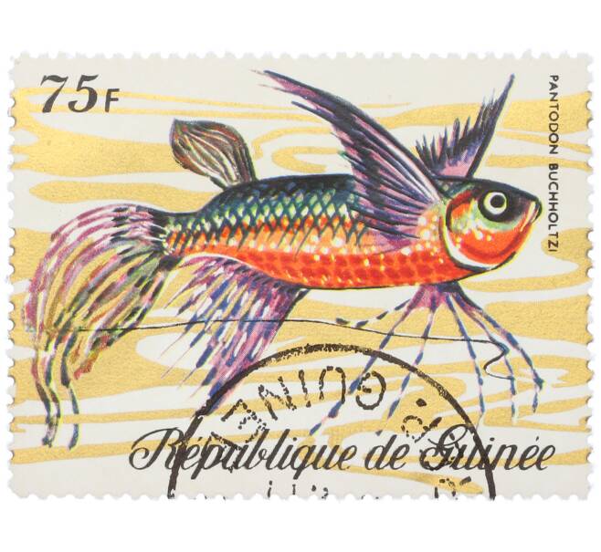 Почтовая марка 75 франков 1971 года Гвинея «Фауна - Пантодон Бухгольца» (Артикул: K12-82260) — Фото №1