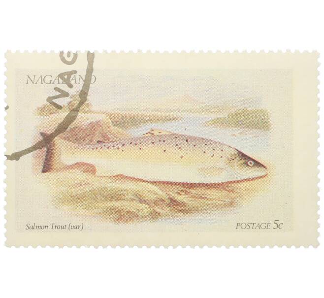 Почтовая марка 5 центов 1972 года Нагаленд «Рыбы - Salmon Trout» (Артикул: K12-82265) — Фото №1