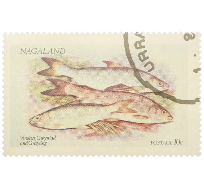 Почтовая марка 10 центов 1972 года Нагаленд «Рыбы — Ряпушка» (Артикул: K12-82266) — Фото №1