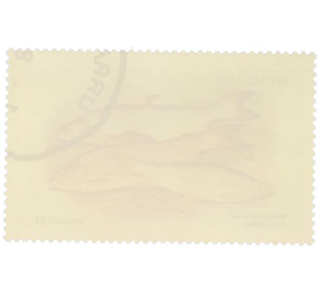 Почтовая марка 10 центов 1972 года Нагаленд «Рыбы — Ряпушка» (Артикул: K12-82266) — Фото №2