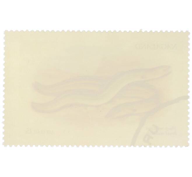 Почтовая марка 15 центов 1972 года Нагаленд «Рыбы — Остроносый и широконосый угри» (Артикул: K12-82267) — Фото №2