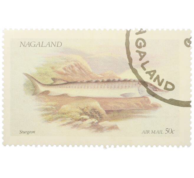 Почтовая марка 50 центов 1972 года Нагаленд «Рыбы - Осетр» (Артикул: K12-82270) — Фото №1