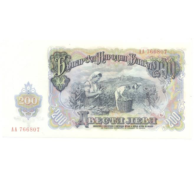 Банкнота 200 левов 1951 года Болгария (Артикул: B2-5130) — Фото №2
