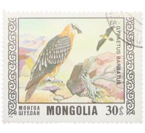 Почтовая марка 30 мунгу 1976 года Монголия «Охраняемые виды хищных птиц III - Бородач» — Фото №1