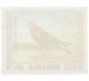 Почтовая марка 40 мунгу 1976 года Монголия «Охраняемые виды хищных птиц III - Болотный лунь» — Фото №2